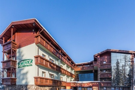 Borovica - 43
