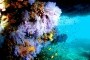 Sun Aqua Vilu Reef