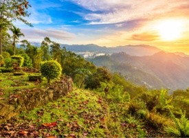 Krásná a divoká Srí Lanka