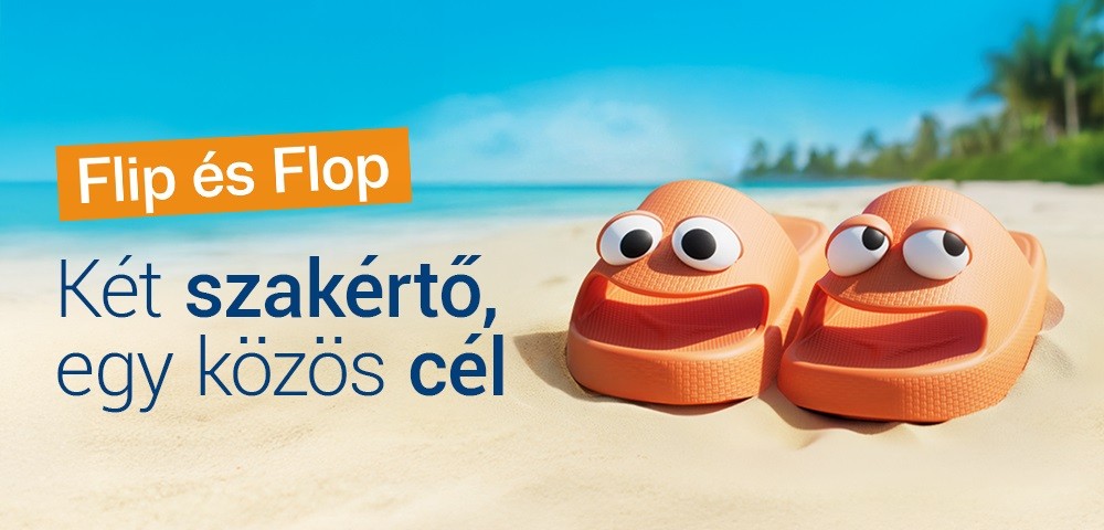 Flip és Flop kalandjai