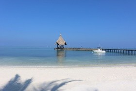 Canareef Resort Maldives (Herathera)