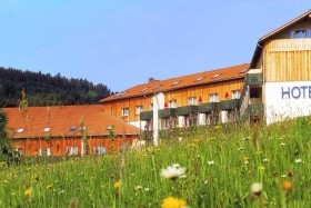 Hotel am Pfahl  (Viechtach)