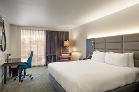 Crowne Plaza Corobici (San José)