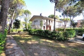 Gabbiano (Lido del Sole)