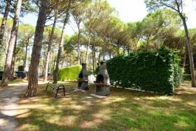 Oasi (Lido del Sole) apartman