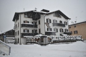 Stella Alpina (Bellamonte)