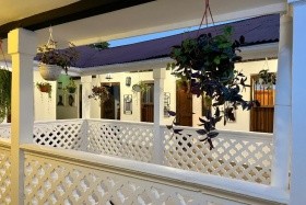 Zanzi House