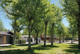 Lido di Sesto Camping