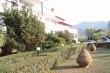 Hotel Ioannis Golden