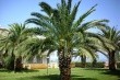 Apartmány Leonardo