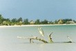 Villas Flamingos (Isla Holbox)