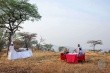 Kirawira Serena Camp (Serengeti)