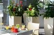 Ibis Styles Catania (Acireale)