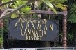 Andaman Cannacia