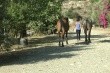 Cyprus Villages Traditional Houses (Tochni)