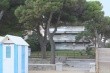 Pioppi