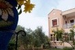 Studia Amarilia