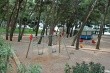 Biokovka