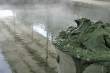 Terme Orvieto