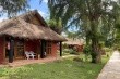 Royal Horizons Baobab