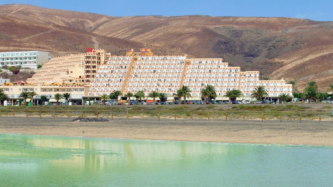 Apartamentos LIVVO Palm Garden