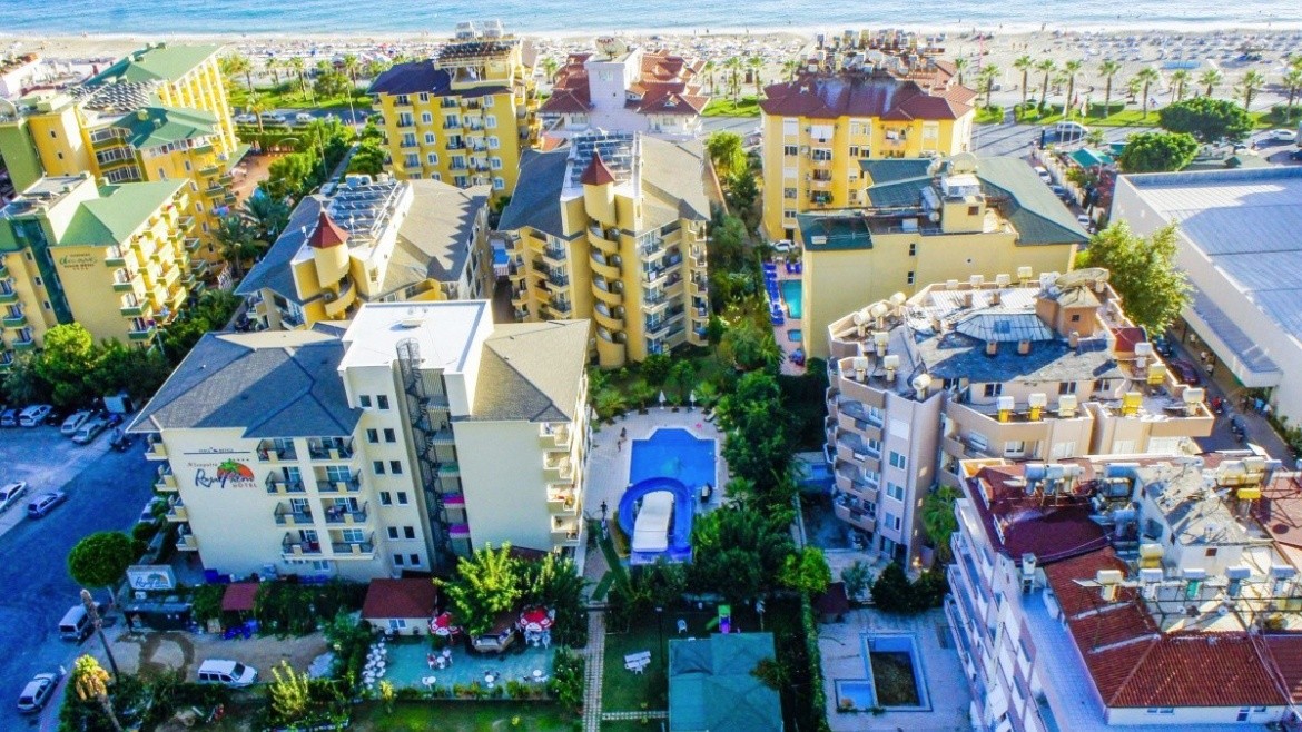 Kleopatra Royal Palm