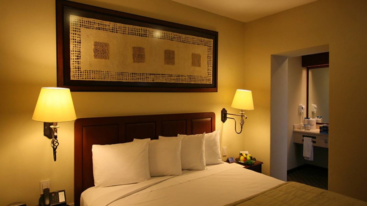Holiday Inn & Suites Mexico Zona Rosa