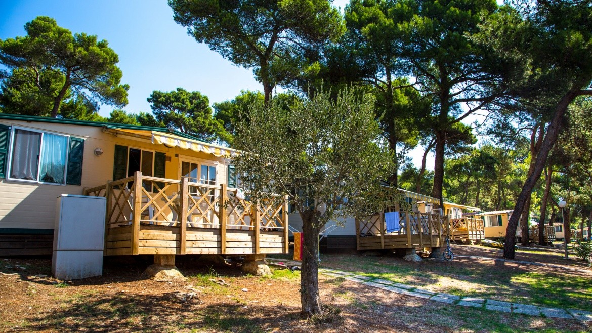 Camping Arena Indije