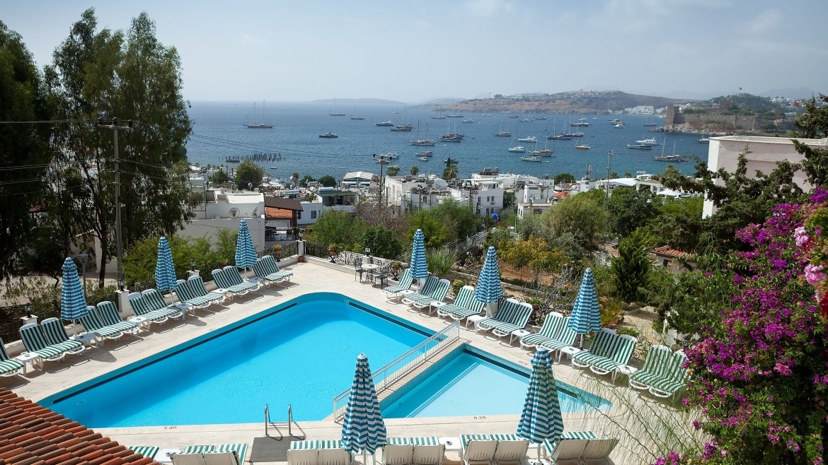 Cactus Comca Manzara