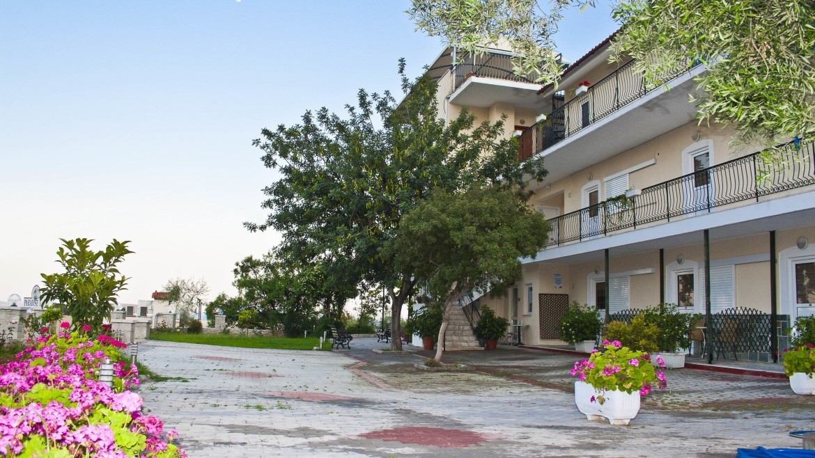 Studia Alonia