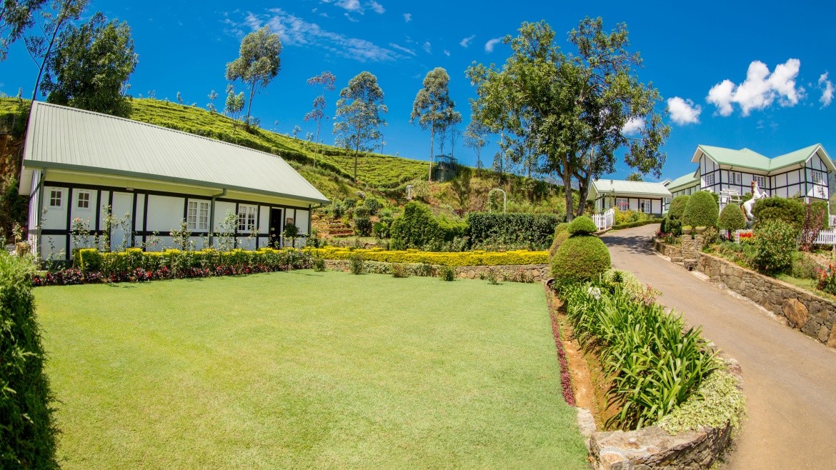 Amaya Langdale (Nuwara Eliya)