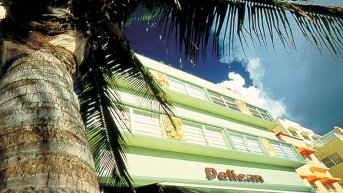 Pelican