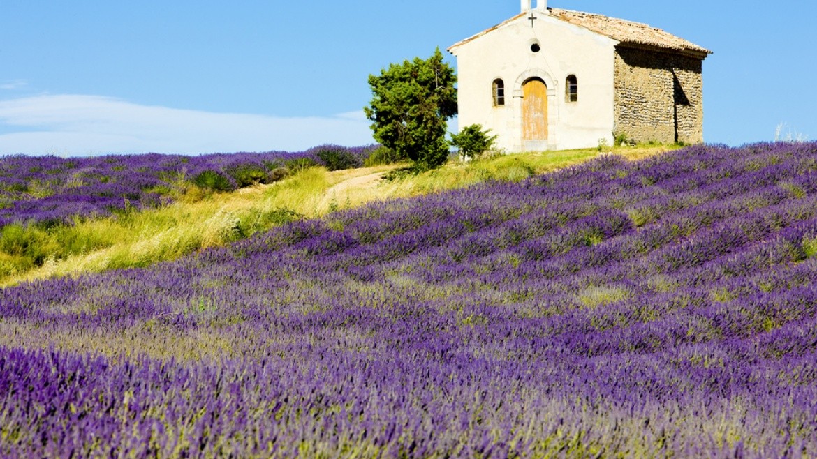 Provence