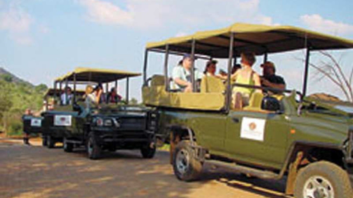 Ivory Tree Game Lodge