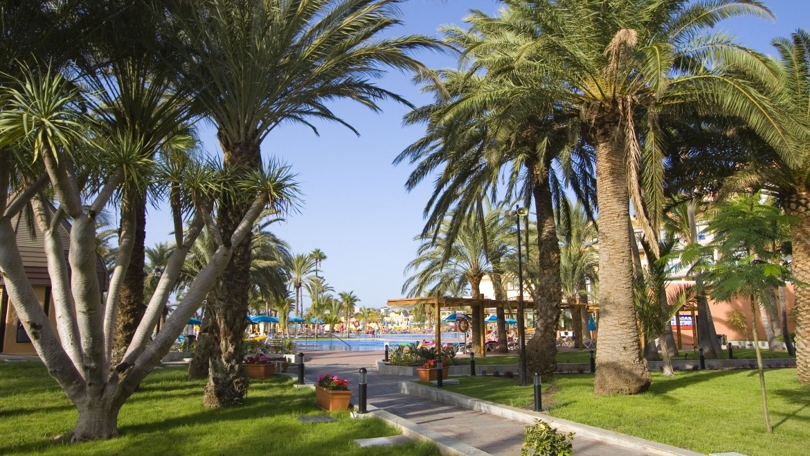 Grupotel Orquidea (ex. TUI Blue Orquidea)