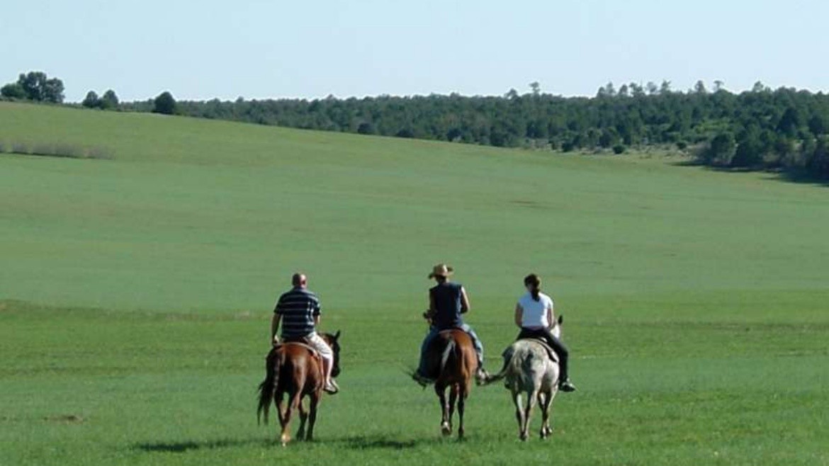 Zion Mountain Ranch