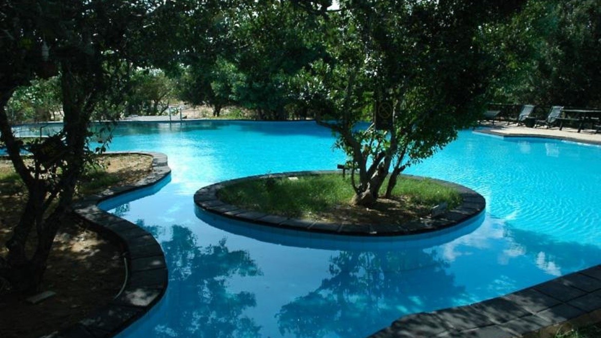 Cinnamon Wild Yala