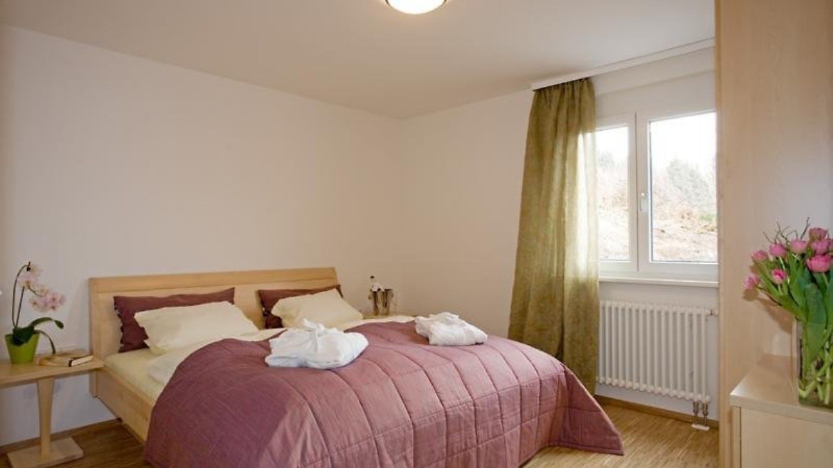Boutique Hotel Alemannenhof