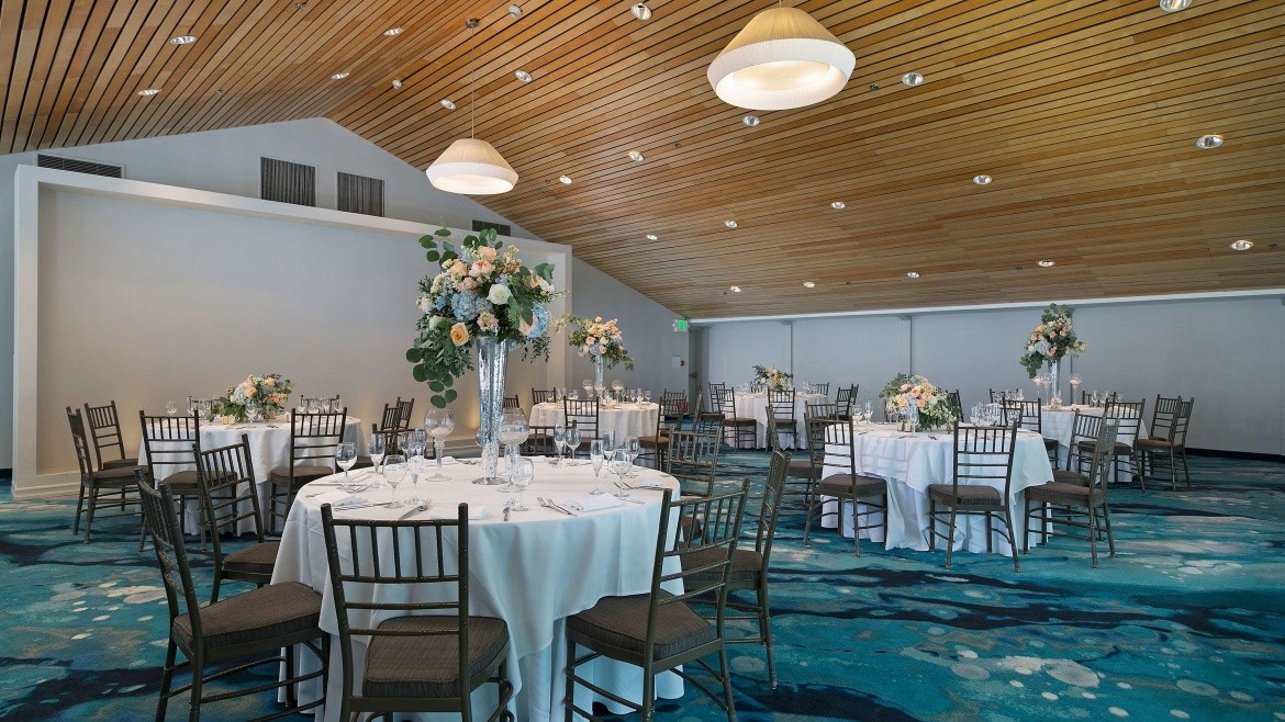The Belamar