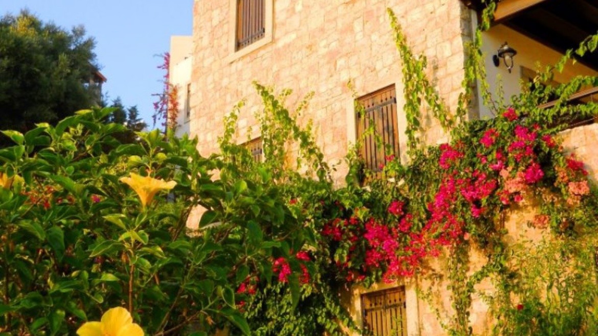 Arion Resort Boutique