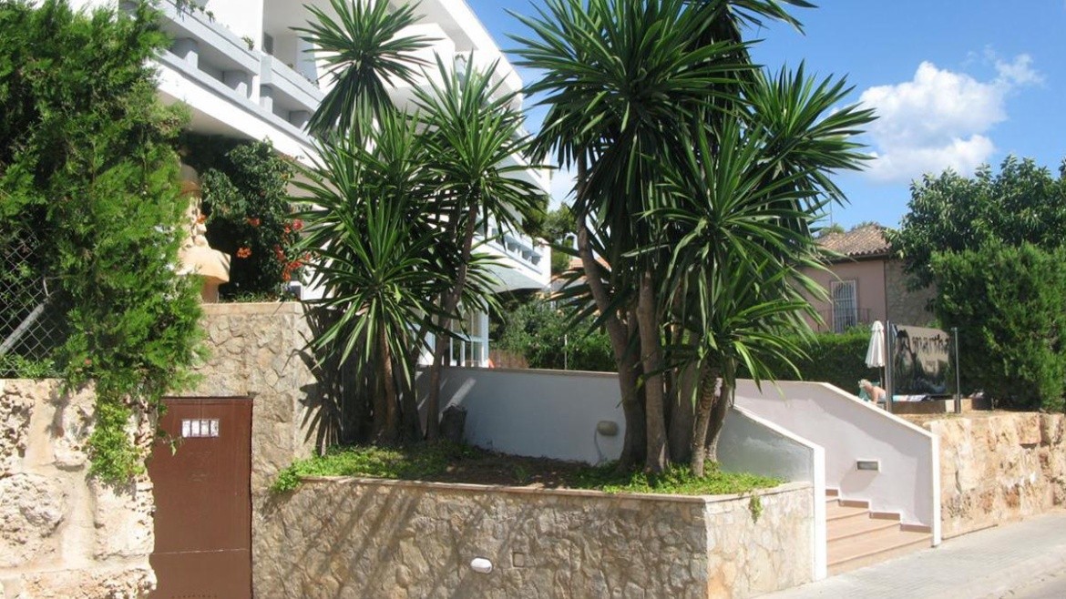 Martha´s Imagine Suite