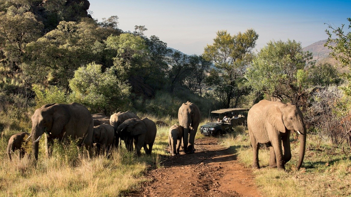 Kwa Maritane Bush Lodge