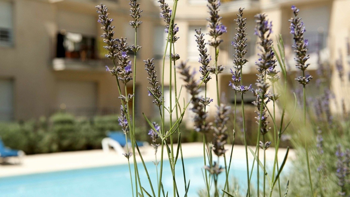 Aparthotel Adagio access Bordeaux Rodesse