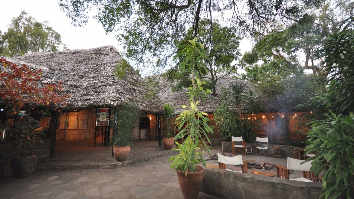 Fig Tree Camp