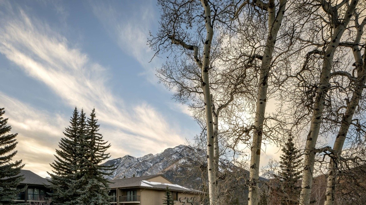 Peaks Hotel and Suites (Banff)