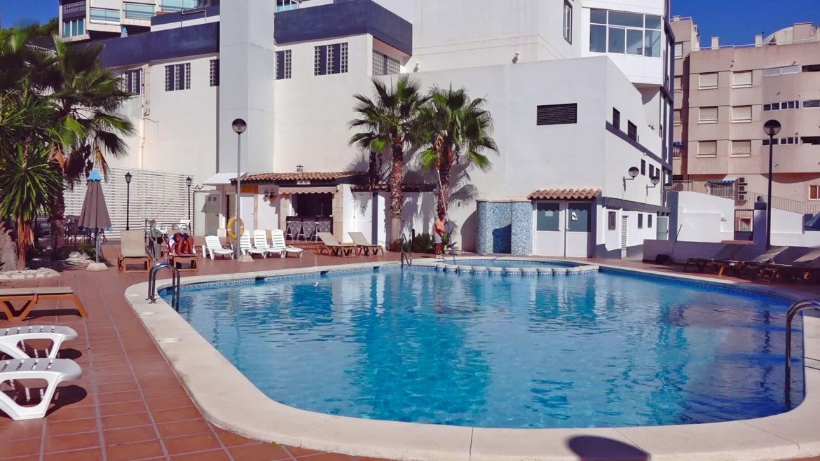 La Familia Gallo Rojo (El Campello)