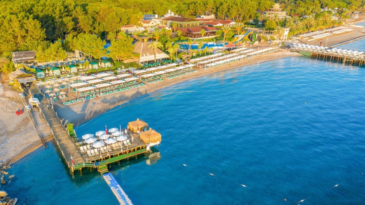 Gypsophila Club Marine