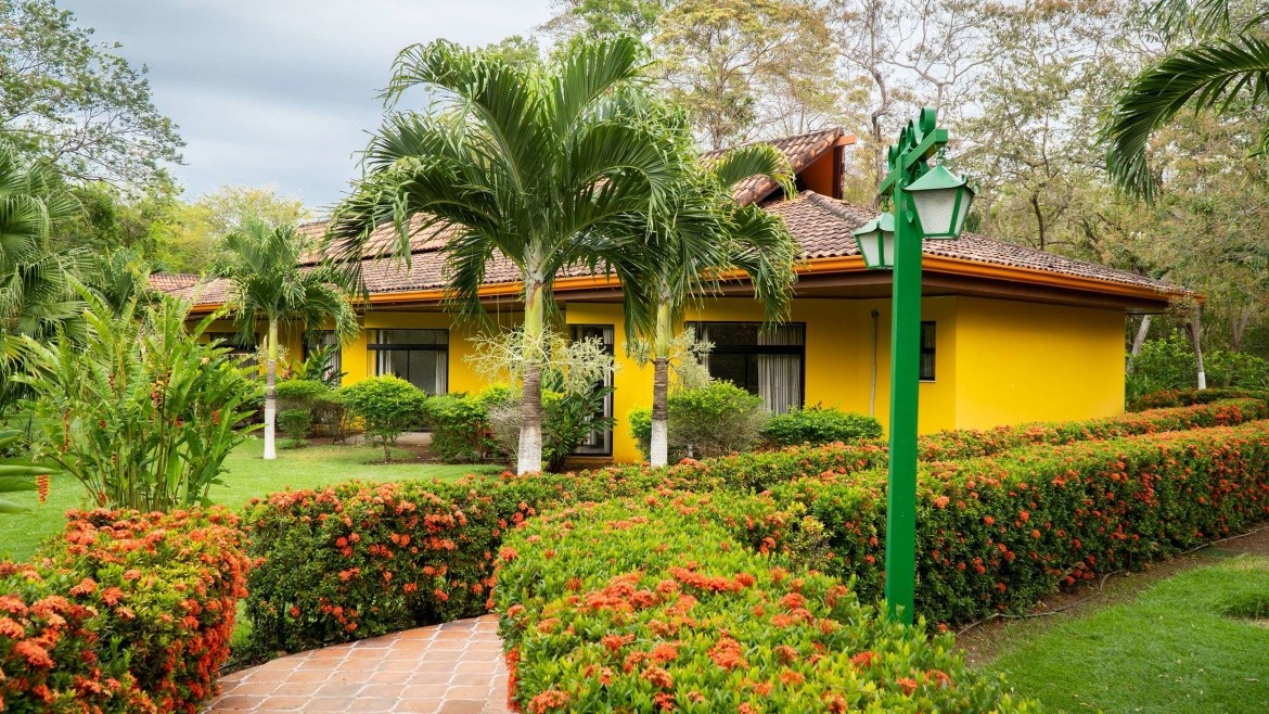 Golden Palms Papagayo