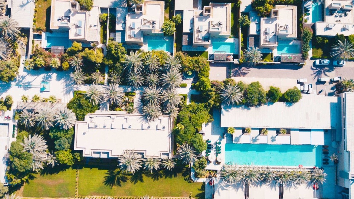 Desert Palm Per Aquum