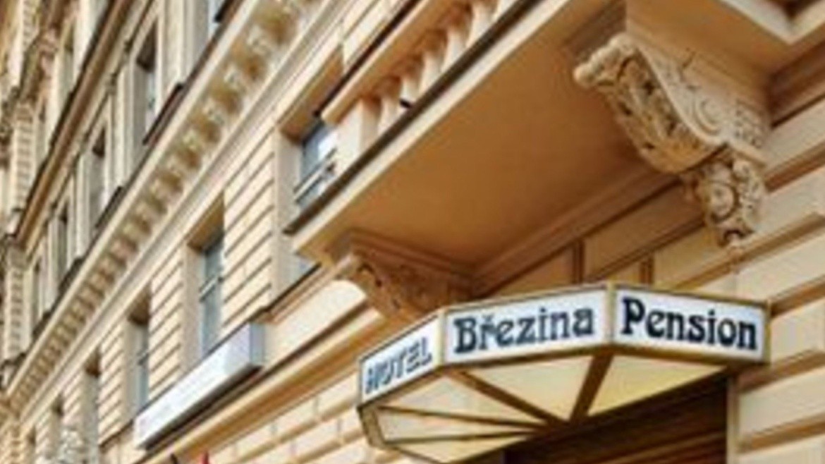 Březina